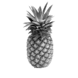 pineapple-2-222px